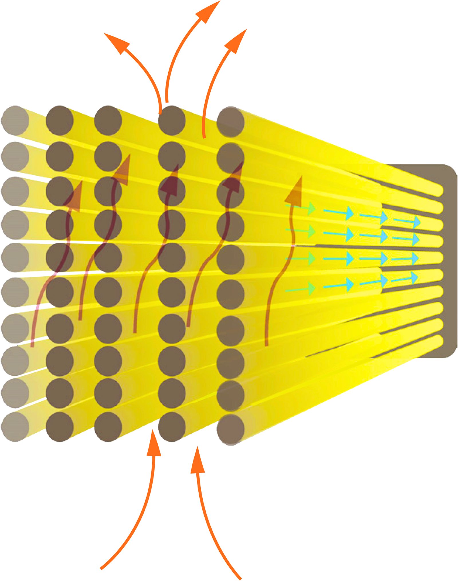 Transmembrane pressure diagram